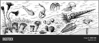 Books as low as $3.89 · 20% off referral discount Paleozoic Era Vector Photo Free Trial Bigstock