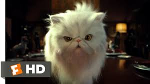 Cats Dogs 2 10 Movie Clip Mr Tinkles 2001 Hd Youtube