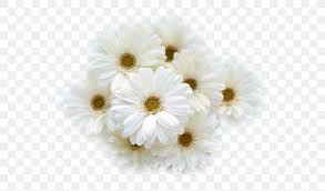 Check spelling or type a new query. Flower Bouquet White Wedding Dress Cut Flowers Png 600x482px Flower Chrysanthemum Chrysanths Common Daisy Cut Flowers