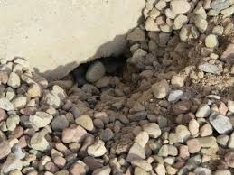 We did not find results for: Something Is Digging Under My Garage Slab Youtube