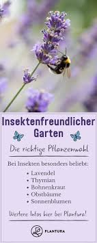 Insektenfreundlicher Garten Tipps Fur Mehr Artenvielfalt Plantura In 2020 Pflanzen Garten Pflanzen Gartenarten