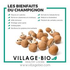 Les Bienfaits Du Champignon Aliments Bons Pour La Sante Alimentation Et Sante Conseils Alimentaires