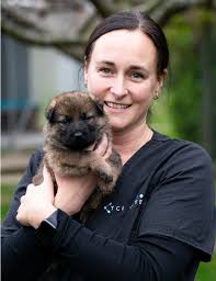 Dog lovers urged to think twice before choosing a high-needs breed