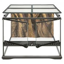 Exo Terra Short All Glass Terrarium 18 By 18 By 12 Inch Reptile Habitat Glass Terrarium Reptile Terrarium