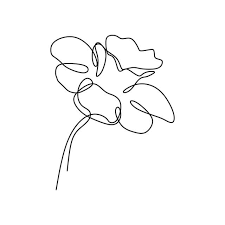 Continuous Line Art Drawing Of Flower Vector Illustration Minimalist Hand Drawn One Single Stripe Design Isolated On White Background Line Art Botany Petal Line Art Drawings Line Art Drawings