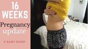 To do this, you need to write in the search box (for example, google) 16 weeks pregnant is how many months and add to it an additional word. 16 Weeks 4 Months Pregnancy Update Baby Bump Youtube