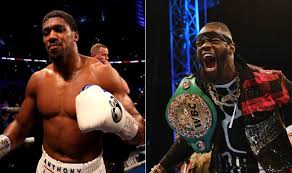 Anthony joshua will take on andy ruiz jr. Anthony Joshua Next Fight Aj Reveals Plan Which Seems To End Talk Of Deontay Wilder Bout Boxing Sport Express Co Uk
