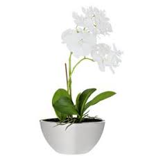 Argos home agave artificial plant in ceramic pot with stand. Buy Artificial Flowers Plants Online Argos