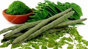 Manfaat daun kelor membantu mencegah tumbuhnya sel kanker. Jangan Lewatkan Ini 7 Manfaat Tak Terduga Dari Daun Kelor