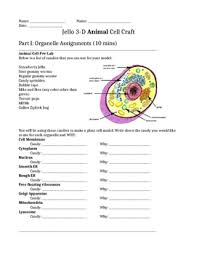 Maybe you would like to learn more about one of these? Build A Cell 3d Jello Animal And Plant Cell Models By Glussy Science