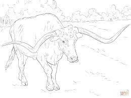 Maybe you would like to learn more about one of these? Texas Longhorn Coloring Page Coloring Home