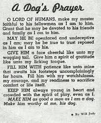 We did not find results for: Pets In Peace Animal Crematory Coos Bay Chapel Coos Bay Or Funeral Home And Cremation