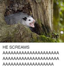 Past simple and past participle of scream 2. ç™¼ He Screams Aaaaaaaaaaaaaaaaaaaaaaaaaaaaaaaaaaaaaaaaaaaaaaaaaaaaaaaaaaaaa Scream Meme On Me Me