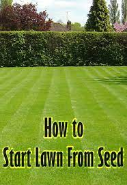 To Start New Lawns Many People Wonder Which Is Better Laying Sod Or Sowing Seeds While Laying Sod Is Fast And Produce Planting Grass Grass Seed Seeding Lawn