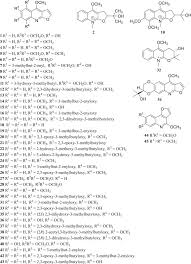 Image result for Vepris macedoi