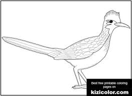 You can search several different ways, depending on what information you have available to enter in the site's search bar. Roadrunner Coloring Page Free Print And Color Online
