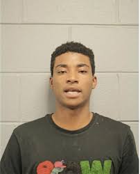 ᐅ Illinois Criminal Records 2009-2025