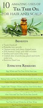 Tea Tree Oil For Hair Is Considered As One Of The Best Herb S Oil To Treat Hair Problems It Removes Dandruff Pr Dandruff Tea Tree Oil Essential Oils For Hair