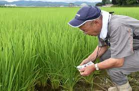 We did not find results for: ã‚ˆã†ã‚„ãé•·æ¢…é›¨ æ˜Žã'ãŸãŒ æ—¥ç…§ä¸è¶³ ç¨²ã«æ‚ªå½±éŸ¿ ä¾‹å¹´ã‚ˆã‚Šè»Ÿå¼± çœŒ çŒ›æš'å¯¾ç­–ã‚‚ æ–°æ½Ÿ æ¯Žæ—¥æ–°èž