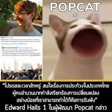 เกิดกระแสในประเทศไทยข้ามวันจาก popcat เกม meme แมวที่จะอ้าปากออกมาเมื่อโดนสัมผัส เรื่องของเรื่องก็คือเกมนี้มีการนับยอดรวมในแต่ละประเทศด้วย Nuntduuotiwmlm