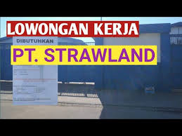 What is a good beef tendeloin dinner / beef tender. Lowongan Kerja Pt Strawland Indonesia Youtube