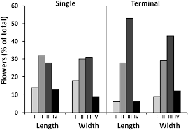 Maybe you would like to learn more about one of these? Flower Position And Size Impact Ovule Number Per Flower Fruitset And Fruit Size In Pomegranate In Journal Of The American Society For Horticultural Science Volume 138 Issue 3 2013