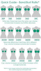 20 Best Bra Size Calculator Images Bra Sizes Bra Size