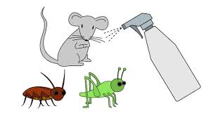 Bila melihatnya, ia akan memainkannya sampai lupa waktu dan perintah tuannya untuk mencuri. Cara Menyingkirkan Ular 11 Langkah Dengan Gambar Wikihow