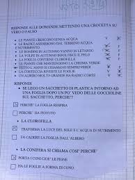 Scopriamo la punteggiatura (classe seconda) | fantavolando. Le Piante Blog Di Maestra Mile