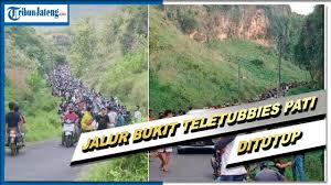 Kawasan gunung rowo sendiri dikenal sebagai destinasi wisata yang menyajikan pemandangan waduk yang asri. Jalur Bukit Teletubbies Pati Yang Viral Karena Dipadati Pengunjung Mulai Hari Ini Ditutup Tribun Jateng