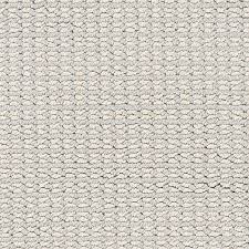 Maybe you would like to learn more about one of these? Stainmaster Petprotect Secret Dream Tribeca Pattern Carpet Indoor Lowes Com Carpet Samples Stainmaster Patterned Carpet