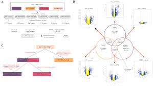 cancers free full text papillary thyroid carcinoma