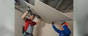 Best gypsum board wall design hall wall interior design ideas ✌ thanks for watching. Gypsum Ceilings Dealer Price In Goa Advantage Cost Of Gypsum Board