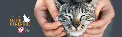 Maybe you would like to learn more about one of these? Pet Adoption Animal Charities Arm Hammer To The Rescue
