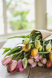 19 Facts Every Tulip Lover Should Know Tulips Garden Garden Care Tulips Garden Design