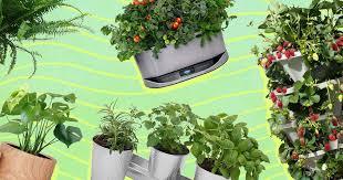 Maybe you would like to learn more about one of these? Indoor Plants How To Grow Herbs Vegetables And Make An Indoor Garden Thrillist