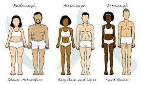While this body type often sounds very masculine to women, that's not the case at all. Different Body Types And Everything You Need To Know About Them Mindvalley Blog