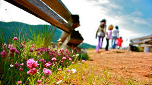 Actividades al aire libre para jóvenes en los meses de verano el lunes 28 de junio se abre el plazo de inscripción para participar en las actividades de verano de la concejalía de. Actividades Para Los Jovenes Deportes Campamentos Y Actividades Al Aire Libre