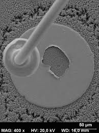 Find the reliability and the failure rate at 0, 100, 200, etc hours. Failure Analysis Alter Technology Group Testing Services