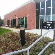 Maybe you would like to learn more about one of these? Westown Veterinary Clinic 21675 Longview Drive Waukesha Reviews And Appointments Topvet