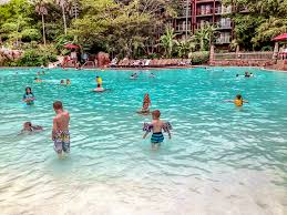 Find the perfect hotel within your budget with reviews from real travelers. The Best Hotels In Orlando For Kids That Parents Will Love Too Along For The Trip