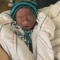 Lincoln Lee Ray Hamilton Obituary December 16, 2017