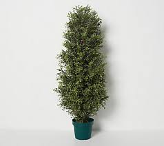 Flower arrangement tips the flower garden is filling out, and i went to the above link to find out more about arranging flowers for the home. Wicker Park 19 Faux Floral Oversized Garden Sphere Qvc Com