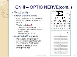 Cranial Nerve Assessment Simple And Easy To Perform For