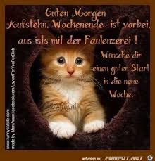 Auch eine suche auf facebook. Guten Morgen Sms Liebe Bilder Und Spruche Fur Whatsapp Und Facebook Kostenlos