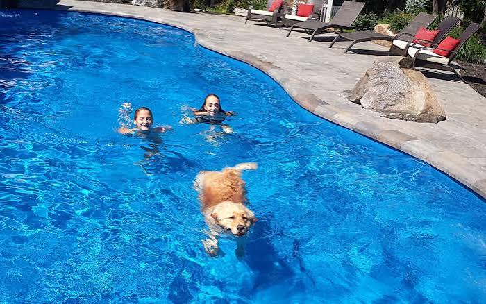 The Benefits of Owning a Swimming Pool | Leisure Pools USA