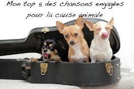 Codycross défilé de mode groupe 533 grille 3. Mon Top 5 Des Chansons Engagees Pour La Cause Animale Site De Miminesetpattounes