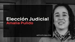 Estos nombres estarán en las boletas de la elección judicial del Edomex