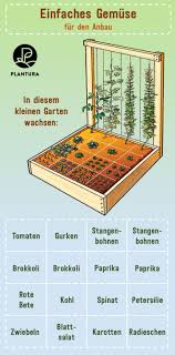 Pin Auf Gemusegarten