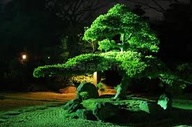 Zen Garden By Night Pine Tree Inside Japanese Zen Garden With Scenic Night Illu Ad Night Pine Zen Garden Tree Ad Zen Garden Zen Photo